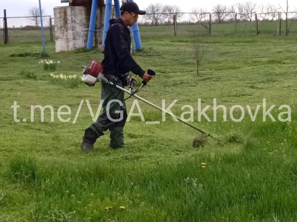 �������������� ������������ ����������� �����������