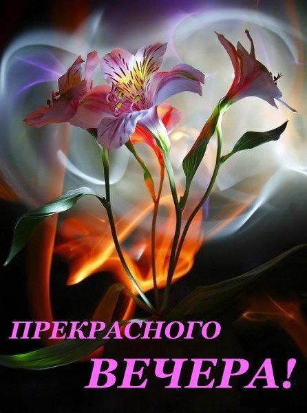 ���� ������ ����� ������ ����! ���������� ����� �� ��������� ������ ��������-������