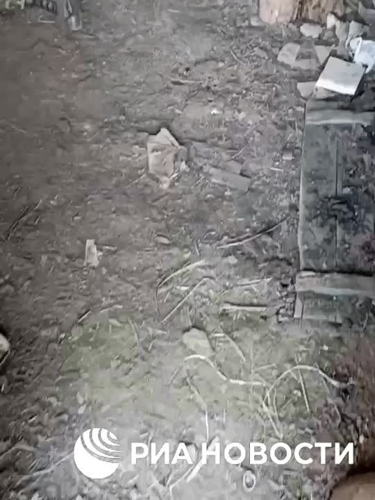 �� ���������� ����������� ���� ����� ���������� ����� �������� �� "�������� ���������"