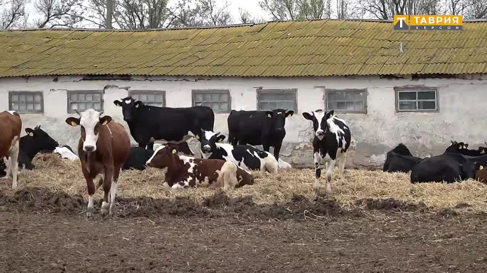 � ���������� ������� ���������������� ����� ������� ������� �� ����� 120 ���. ������