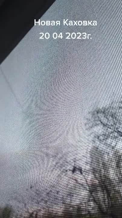 ����� ������� �������