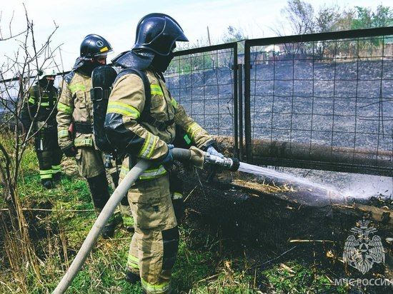 ������������ ��������� ������ �� ���� �������� �������