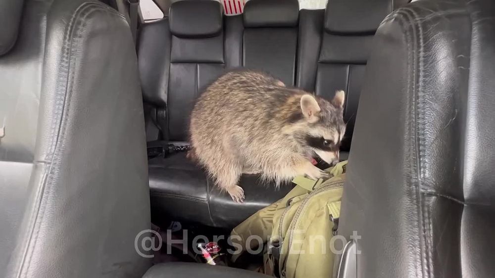 ���� �� �������: ���� ������ ���� ������ � �������� ��� ����������