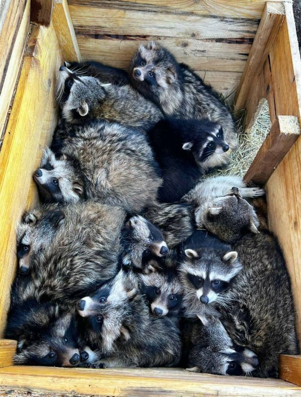 ���� �� �������: ���� ������ �� ���� ��������� �������