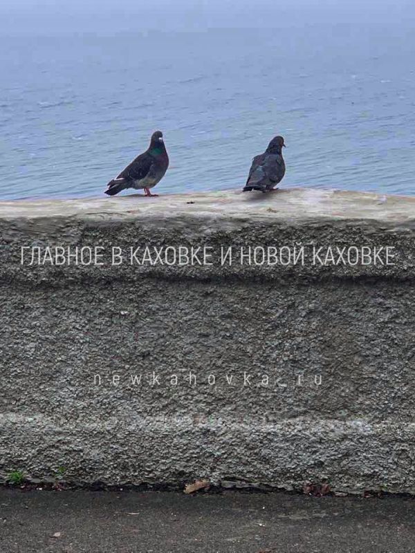 ���� ��� �� ������ � ���� ������ ���� ����� �������