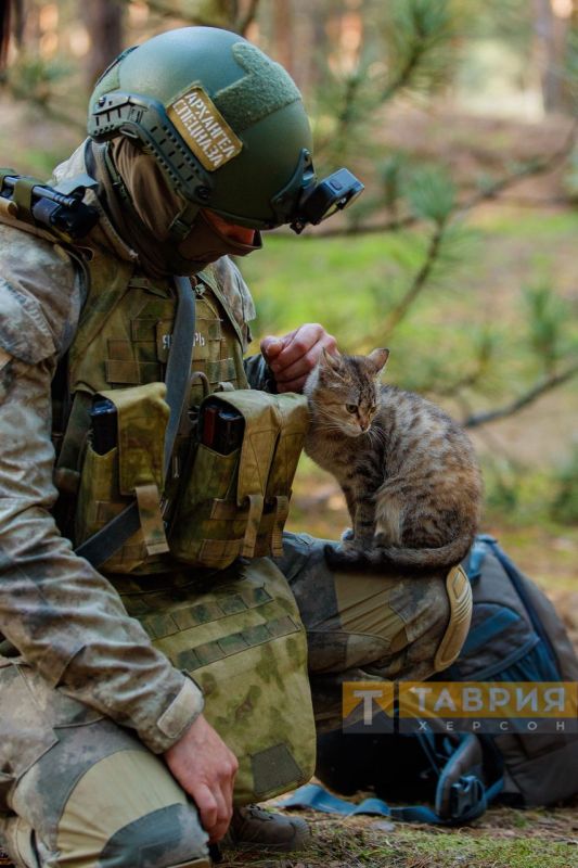 ���������� �����������. ����� ������������ ���� ���, ��� ��������� ���� ������ ��������