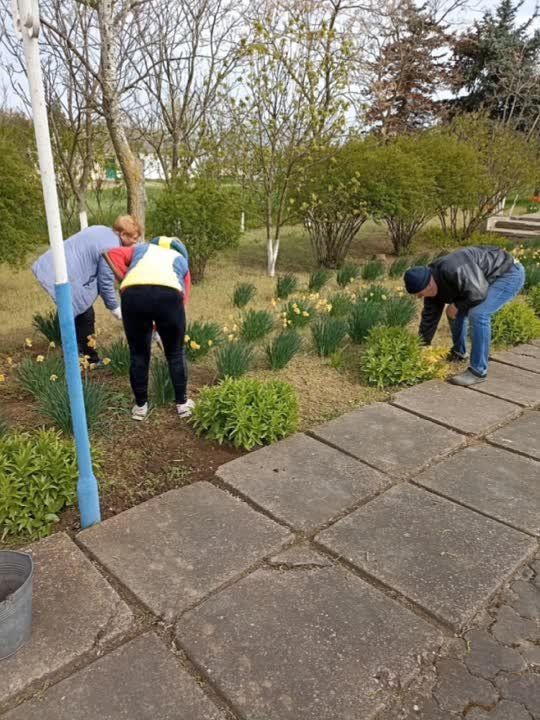 ��������� ���������������� ���� �������� ��������� � ����������� ��������� ������ ������� ������� �� ������������� ����������