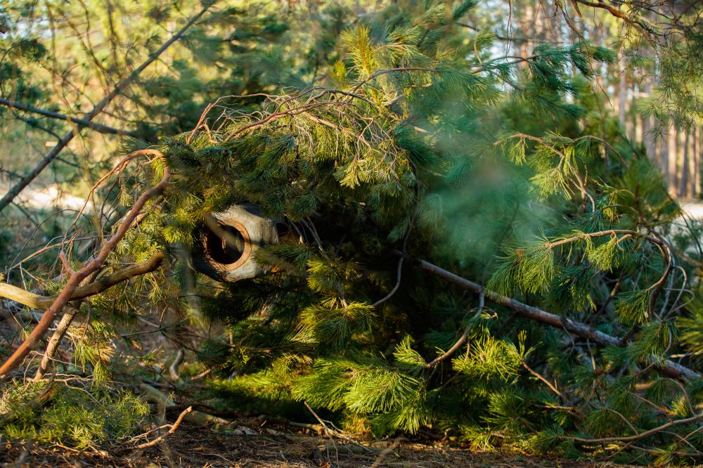 �� �� ���������� ���������� ������� ��� �� ������ ������ ������