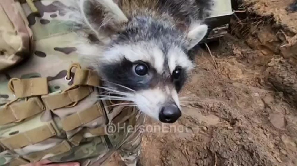 ���� �� �������: ������� ����������� ����, ������!