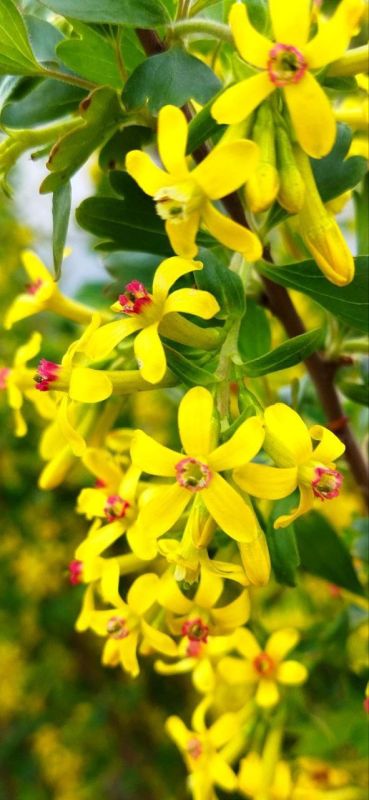 ������ ���� �������� ��������� ���������� � �������� ��������!