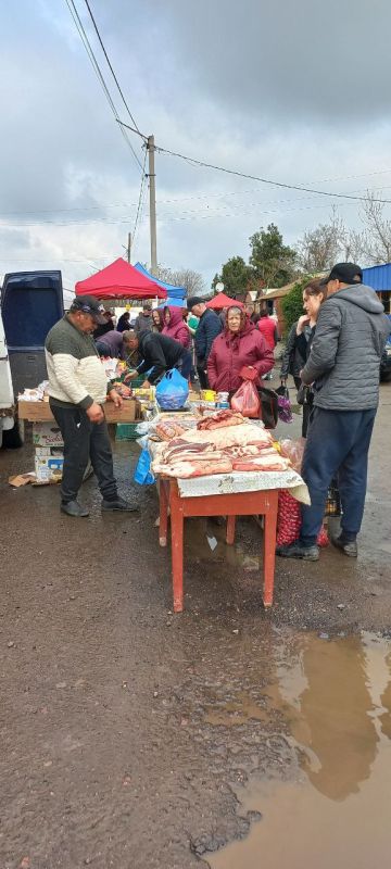 22.04.2023 �. � ���������� �������� ��������� �������� �������