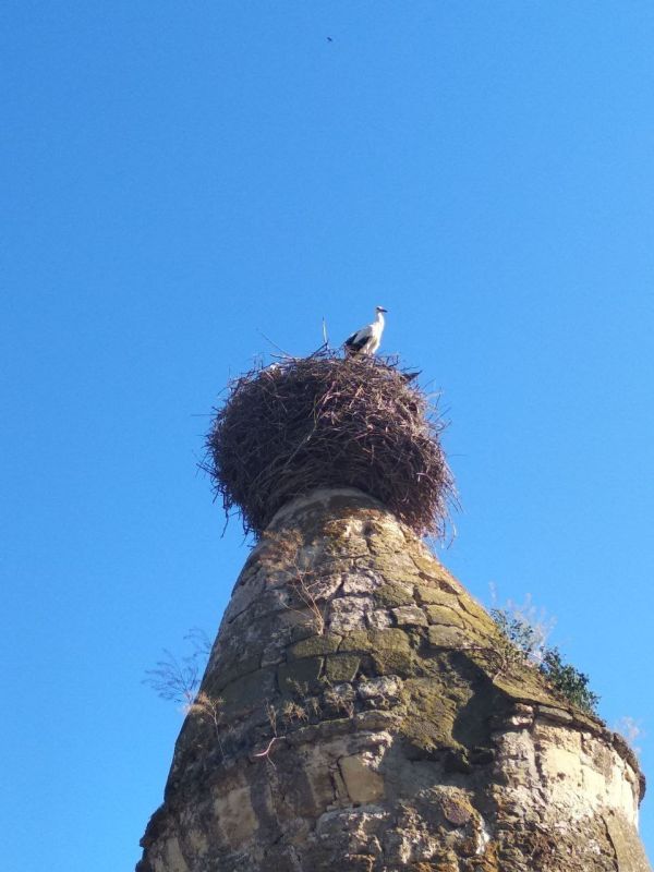 ���������� ���������. #�������������������