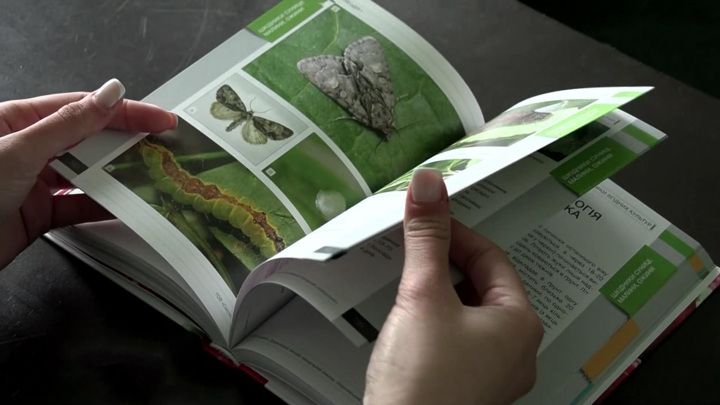 ��� �������� ���������� ������� ����� �������