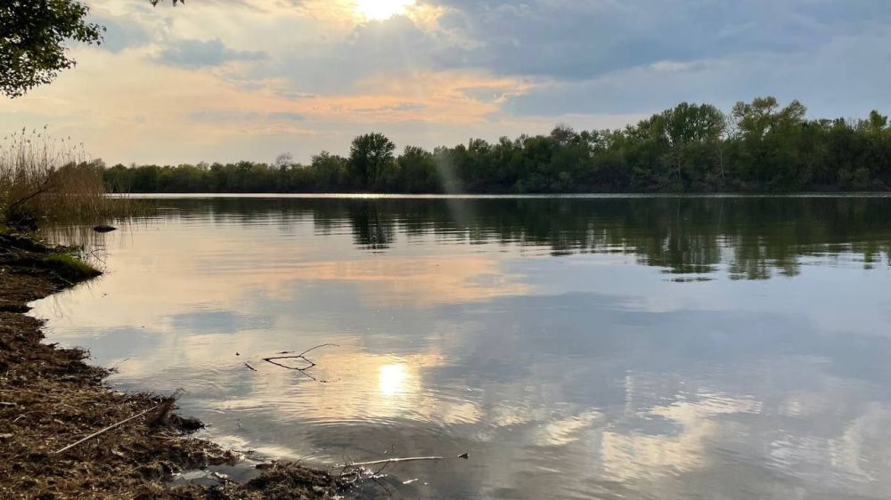 ����� �������. #�������������������