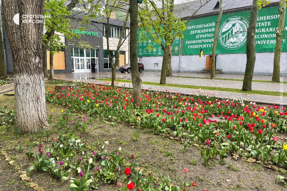 ������� ������� �������. ������. ���� ������� ������ �������..