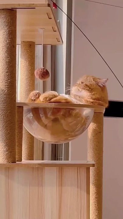 ���� ����� "�� �������" �� ���, ����������, ������, �� �������!