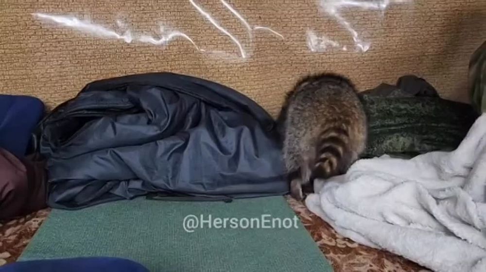 ���� �� �������: ������!!! ������� �����, ��������� � ����� ������!