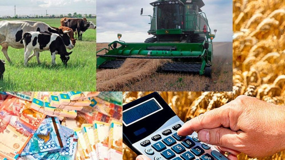 � ���������� ������� ������� «���������� ������������ (����������) ��������, ������������ � ������ ����� �������������� ����������������»