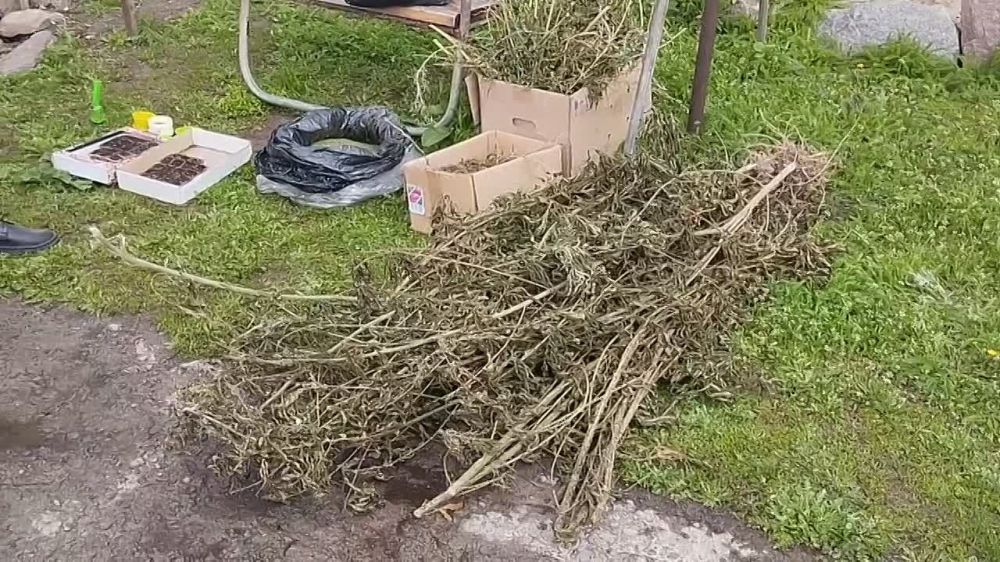 � ���������� ������� ����������� ������� �������� ����� �� ������������ ���������