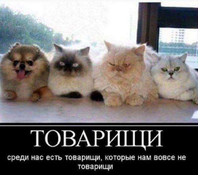 ����� ����, ��������� � ����� "�����" ����������