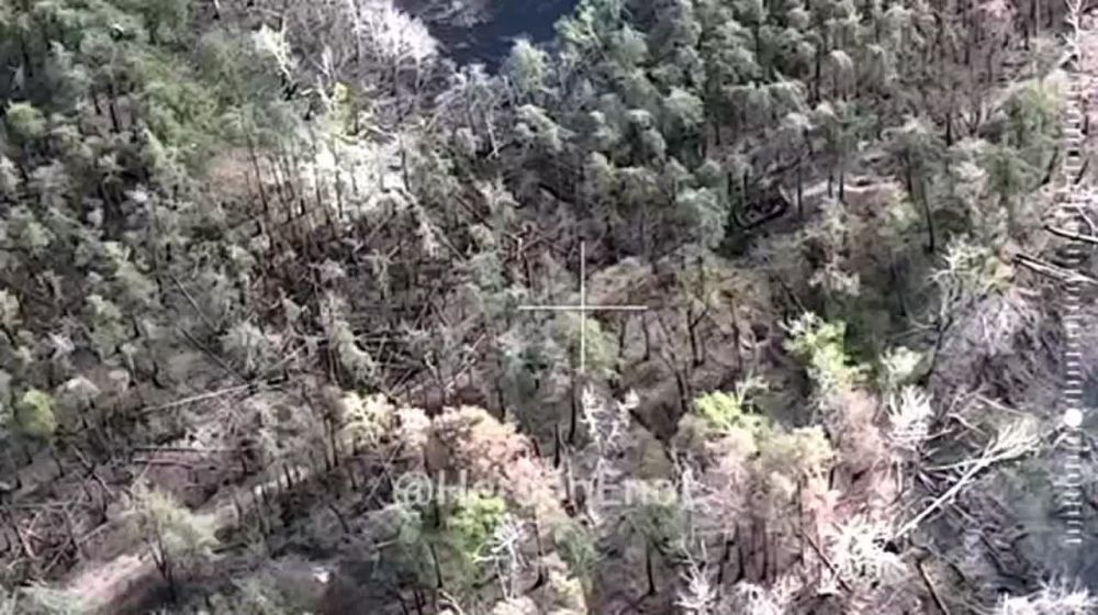 ���� �� �������: ��� �� ���������� ���. �� ����� �� ����� �������� � ���������� ������� ����������� ����� ������� ����� �������� �� ������� ������ � ���������� ����