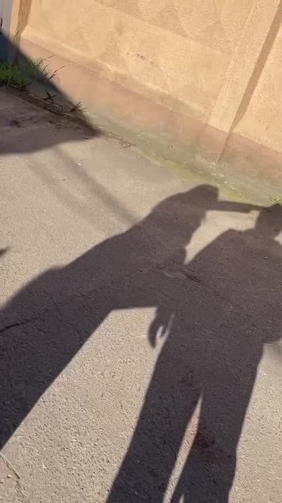 � ������ ������������ ������ �������������� �����������