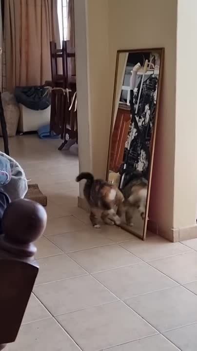 ��� ������, ����� ������� ��������, � �� �� ���������� ������ �� ����