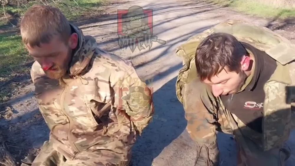 ������� ������� ��������, ��� ����� ����� ������������ � ���������� �������, ������� ����� �� ������� ����, ������� ����� �� �������