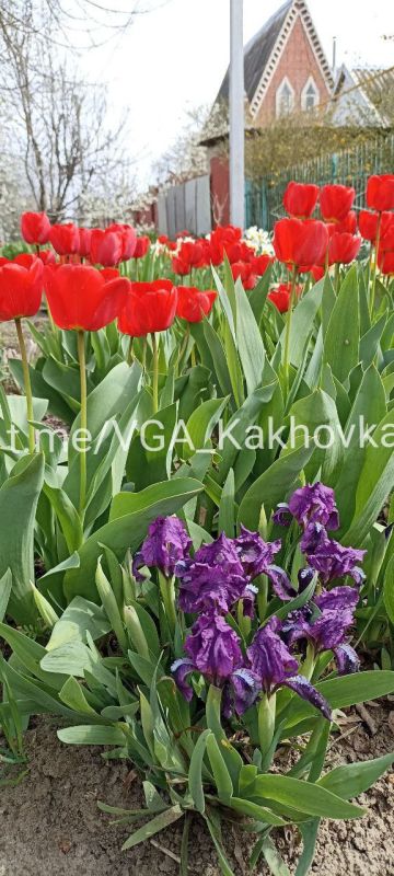 ���� � ������: ��������� ������������� ����� ������ � ������� �������� ������