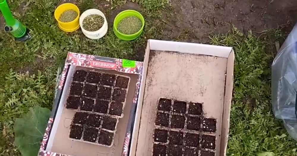 � ���������� ������� ����������� ���������� �������� ����� � �����������