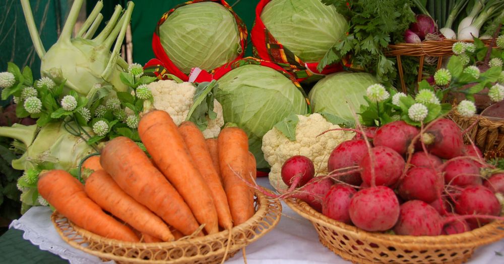 � ���������� ������� ������ ������� ������� ���������