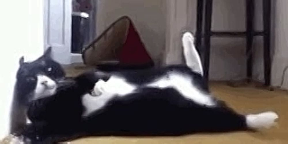 ���! � ��� ����� �����������)