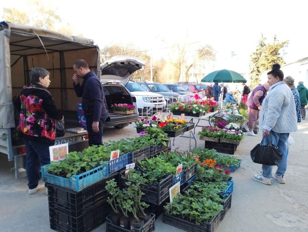 � �. ������������ ���������� �������