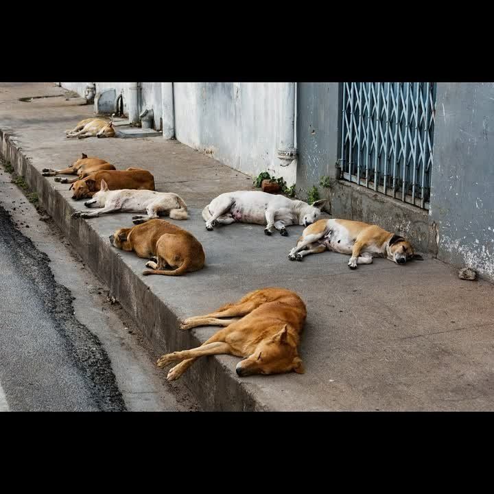 ����� ����� ������ �������� � ������� ������� ��������, ���� ��������� ���� � ���, ��� �������� �� �����������...