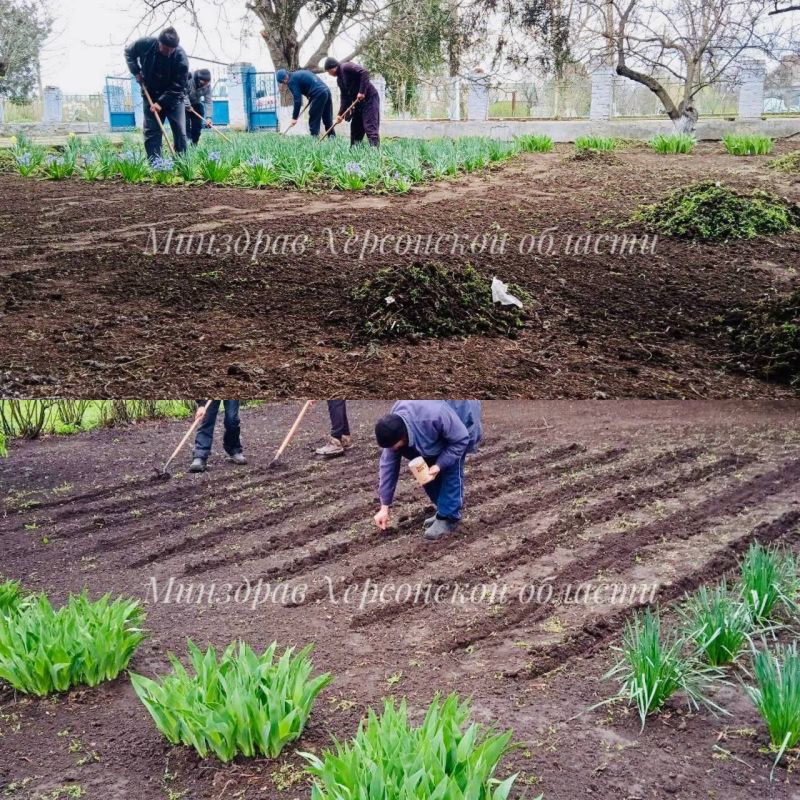 �� ���������� �������������� �������� �������� ���� ������ ������