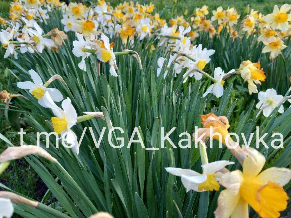 ��������� �� ������ ������, ������, ������� �������