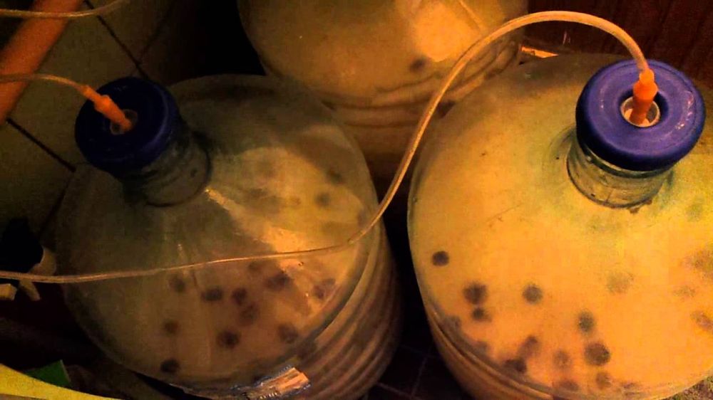 ���������� ������� � ���������� ������� ���������� ������ �� ��������