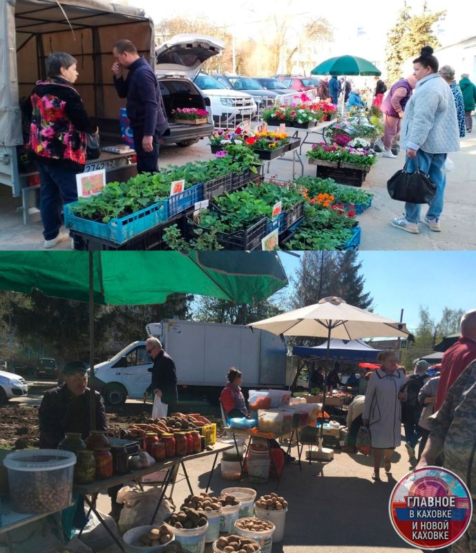 � ������������ ������ �������������������� �������