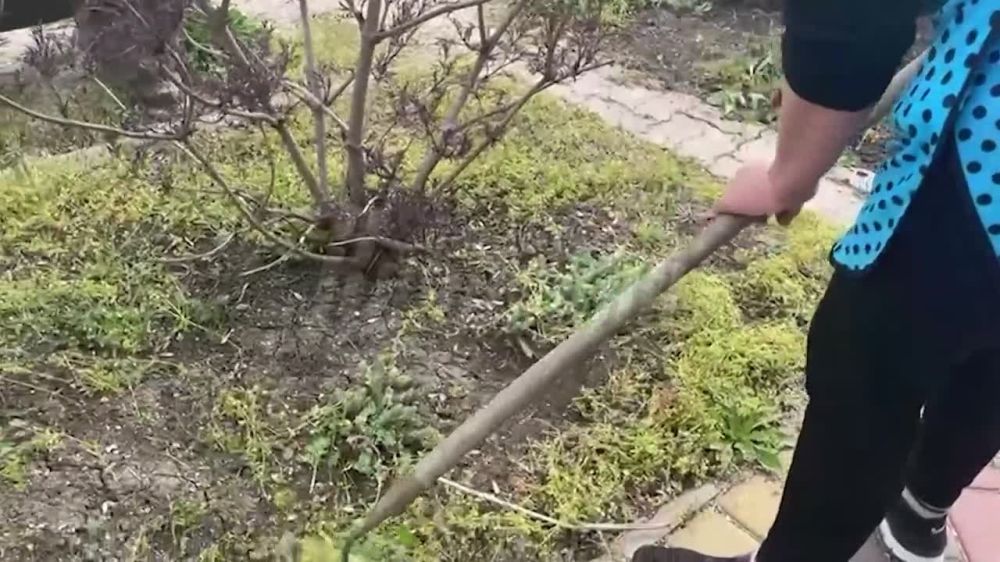 ������� ����������� ������� ��������� ���������� � ������ � ���������� ���� �������� ����� � ���������� ������