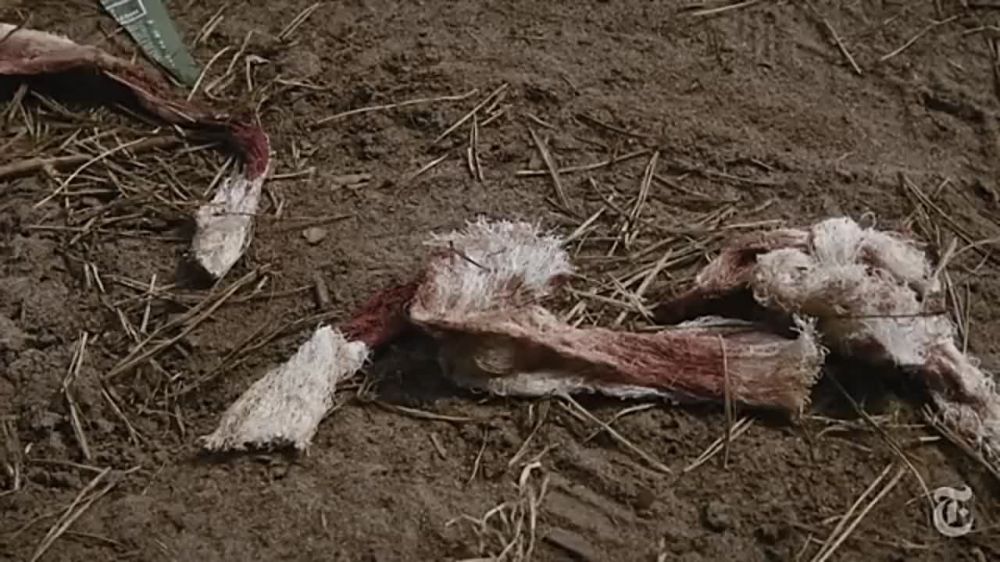 �������������� ��� � �� ��� �� ��������, ���� ���� ������..