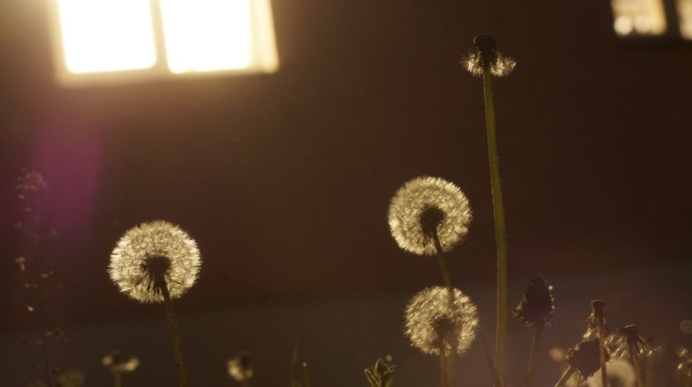 �� ������ ���� ��������� ����