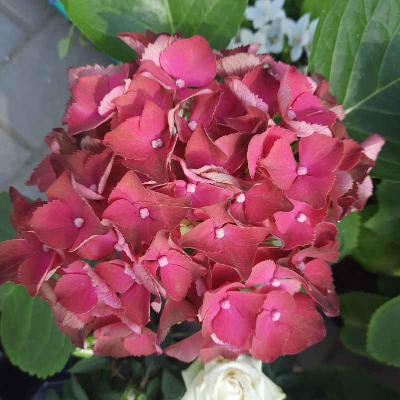 ������, � ������� ������� �������� �������� � ����� �� ������ �������