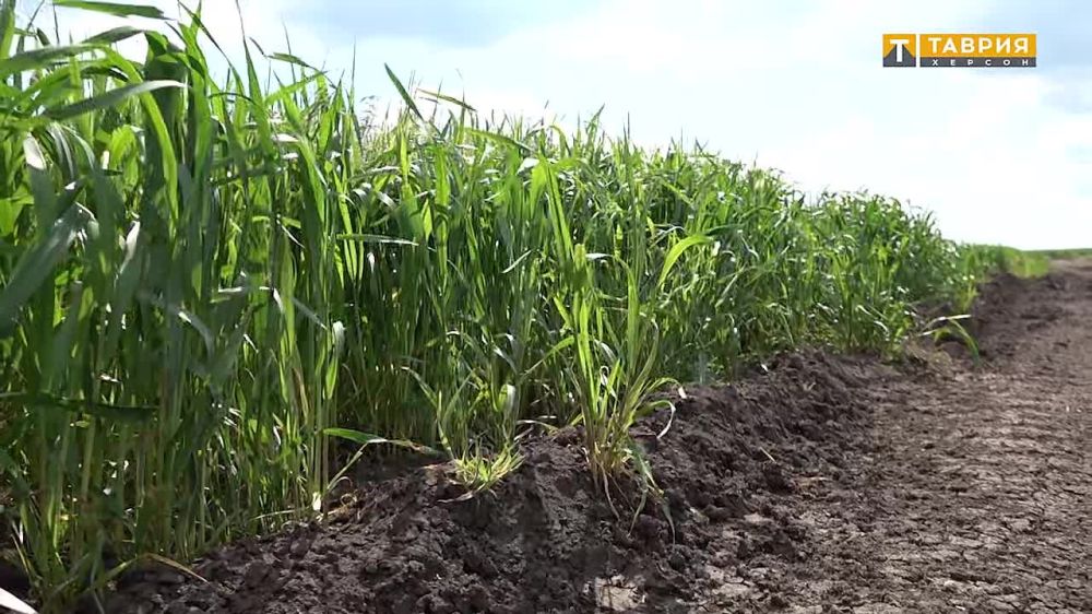 � ���������� ������� ������� ������� ������