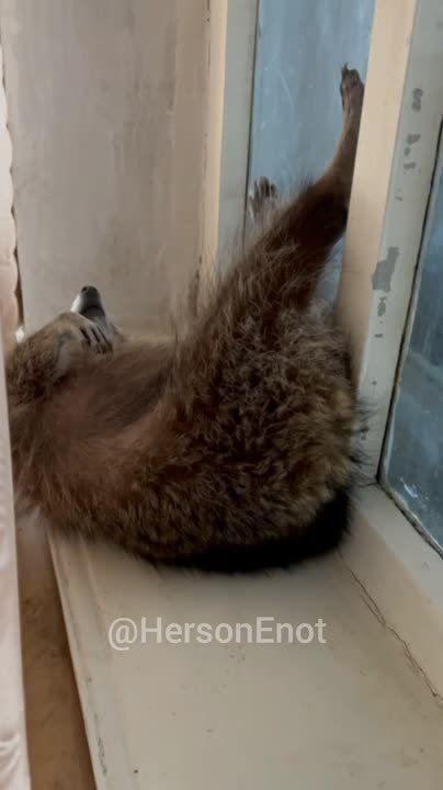 ���� �� �������: ���� �����! ����� �� ������, ���� ������ ���������