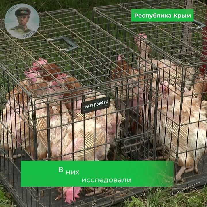 �������� ���������� �������� ����� �������� ������������ ������ �� ���������� ����������