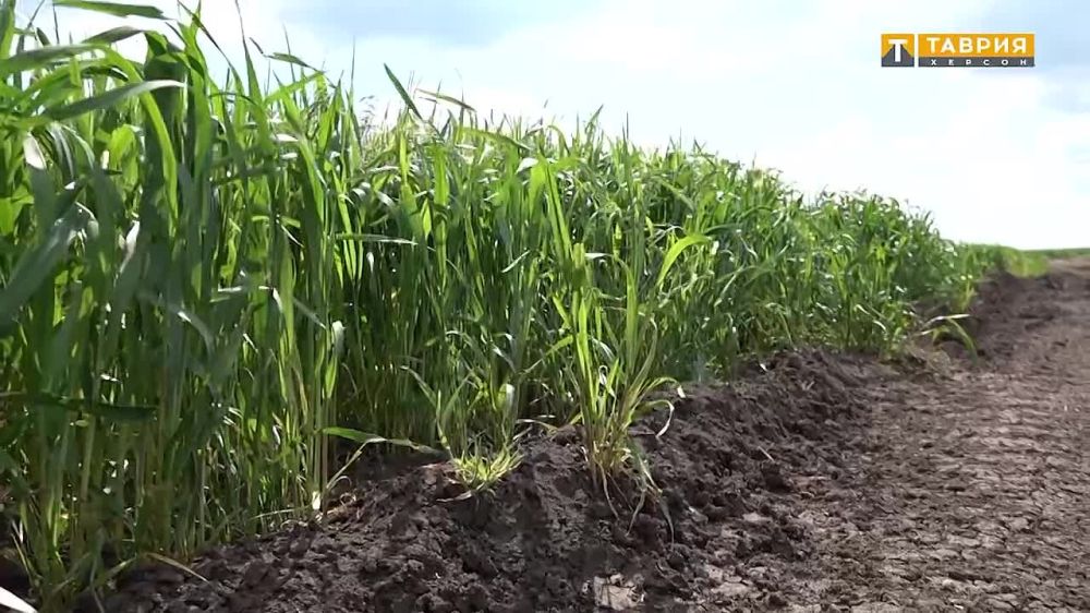 � ���������� ������� ������� ������� ������