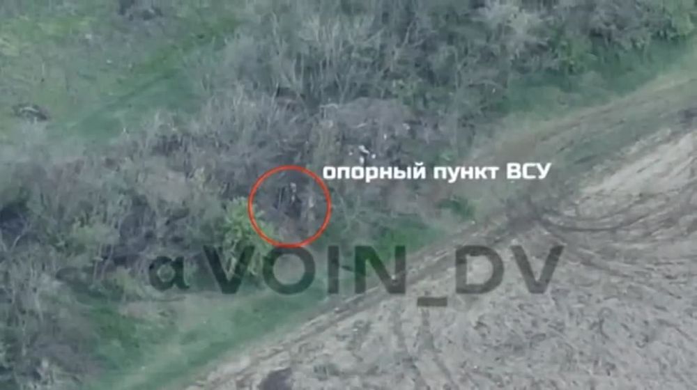 �������� �����: ������� ������������ ������� ������� ���������� ������� �������� �� ���������