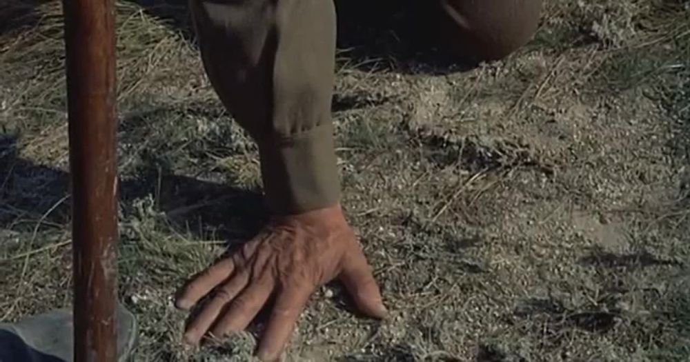 ��� ������� ������ �����������...