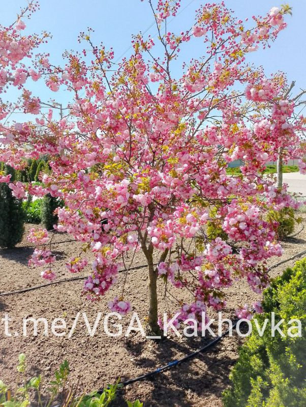 ����� � ������������ �����