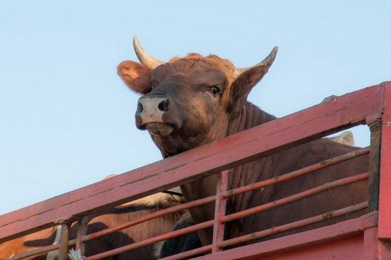 ��������� �������������� ���������� �������